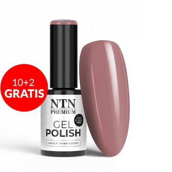 10 + 2 gratis: NTN Premium Topless Collection HEMA/Di-HEMA-freier Hybridlack, 5 g, Nr. 12