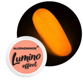 Polvere per unghie che si illumina al buio Lumino Effect Allepaznokcie Nr 6