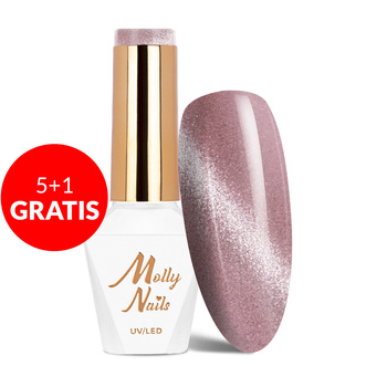 5+1 gratis Magnetischer Hybridlack mit Cat-Eye-Effekt Cat Eye Crystal Water Molly Nails HEMA/Di-HEMA-frei 8 g Nr. 165