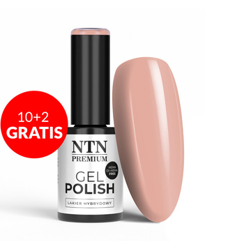 10 + 2 gratis LED/UV-Gel-Nagellack NTN Premium Day Dreaming Collection Nr. 60, HEMA/Di-HEMA-frei, 5 g
