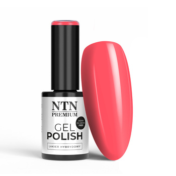 NTN Premium Design Your Style Collection HEMA/Di-HEMA-freier Hybridlack 5 g Nr. 38