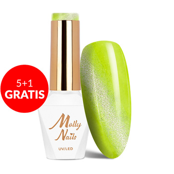 5+1 gratis: Molly Nails Neon Flashy Cat Eye HEMA Free Hybridlack 8 g Nr. 178