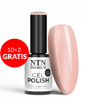 10+2 gratis Smalto ibrido NTN Premium Day Dreaming Collection HEMA/Di-HEMA Free 5 g n. 63
