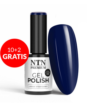10 + 2 gratis: NTN Premium After Midnight Collection HEMA/Di-HEMA-freier Hybridlack, 5 g, Nr. 70