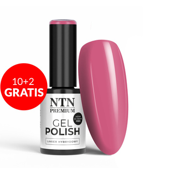 10 + 2 gratuits Vernis hybride NTN Premium Collection Uptown Girl Sans HEMA/Di-HEMA 5 g N° 21