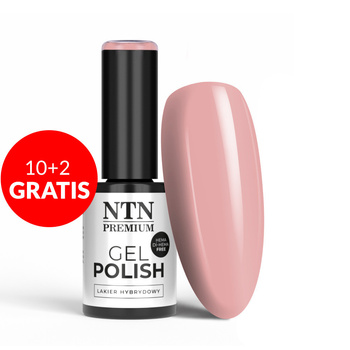 10 + 2 gratis: NTN Premium Uptown Girl Collection HEMA/Di-HEMA-freier Hybridlack, 5 g, Nr. 22
