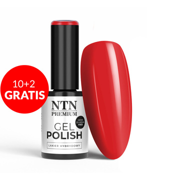10 + 2 gratis Hybridlack NTN Premium Design Your Style Collection HEMA/Di-HEMA Free 5 g Nr. 42