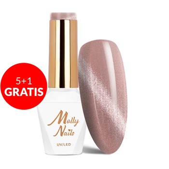 5+1 gratis Magnetischer Hybridlack mit Cat-Eye-Effekt Cat Eye Crystal Water Molly Nails HEMA/Di-HEMA-frei 8 g Nr. 164