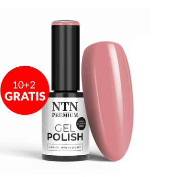 10 + 2 gratis: NTN Premium Day Dreaming Collection HEMA/Di-HEMA-freier Hybridlack, 5 g, Nr. 58