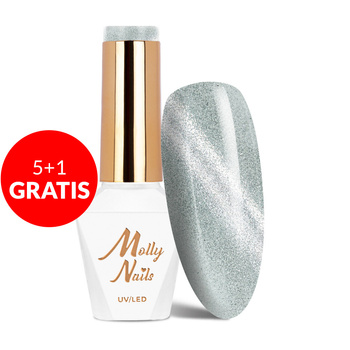 5+1 gratis Magnet-Hybridlack Cat Eye Womanity Rainy Day Molly Nails HEMA/Di-HEMA-frei 8 g Nr. 447