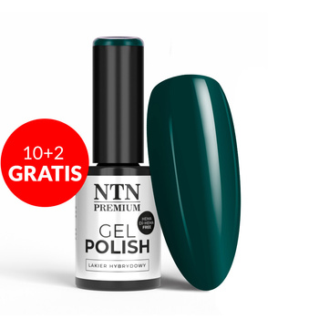 10 + 2 gratis LED/UV-Gel-Nagellack NTN Premium Limited Edition Nr. 373, HEMA/Di-HEMA-frei, 5 g