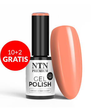 10 + 2 gratis LED/UV-Gel-Nagellack NTN Premium Design Your Style Collection Nr. 37 HEMA/Di-HEMA-frei 5 g