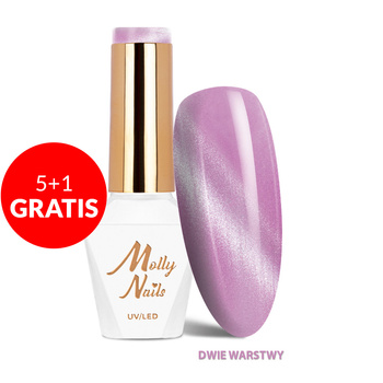 5+1 gratis Magnetischer Hybridlack mit Cat-Eye-Effekt Cat Eye Crystal Water Molly Nails HEMA/Di-HEMA-frei 8 g Nr. 167