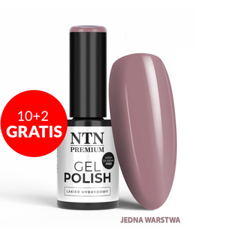 10 + 2 gratis: NTN Premium Uptown Girl Collection HEMA/Di-HEMA-freier Hybridlack, 5 g, Nr. 24
