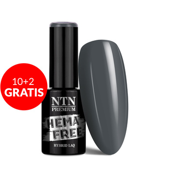 10 + 2 gratis NTN Premium Milkshake HEMA/Di-HEMA-freier Hybridlack 5 g Nr. 314