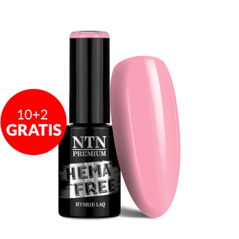10 + 2 gratis NTN Premium Milkshake HEMA/Di-HEMA-freier Hybridlack 5 g Nr. 311