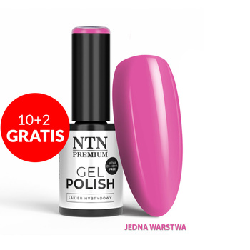 10 + 2 gratis: NTN Premium California Collection HEMA/Di-HEMA-freier Hybridlack, 5 g, Nr. 140