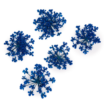 Getrocknete Blumen zur Nagelverzierung MollyLac Royal Blue, 5 Stück