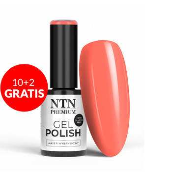 10 + 2 gratis: NTN Premium Delight Sorbet Collection HEMA/Di-HEMA-freier Hybridlack, 5 g, Nr. 152