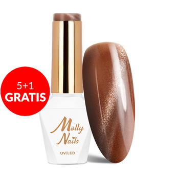 5 + 1 gratis. Esmalte híbrido LED/UV Gel Polish Browns Cat Eye Metallic n.º 216 Molly Nails sin HEMA/Di-HEMA, 8 g