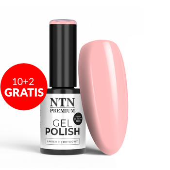 10 + 2 gratis: NTN Premium Soft Touch Collection HEMA/Di-HEMA-freier Hybridlack, 5 g, Nr. 02