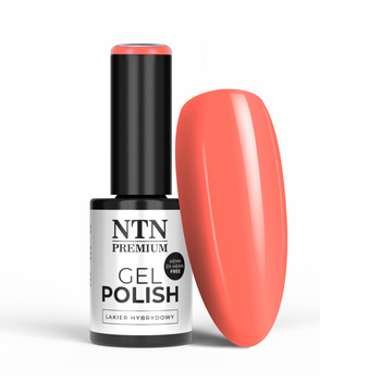 NTN Premium Delight Sorbet Collection HEMA/Di-HEMA-freier Hybridlack 5 g Nr. 152