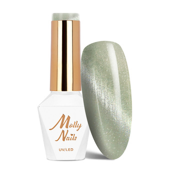 Magnetischer Hybridlack mit Cat-Eye-Effekt „Cat Eye Crystal Water“ von Molly Nails, 8 g, Nr. 162