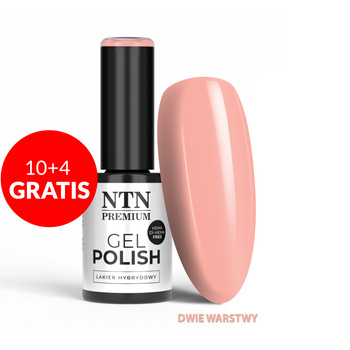 10+4 free LED/UV Gel Polish Pinks No. 542 Limited Edition NTN Premium HEMA/Di-HEMA Free 5g