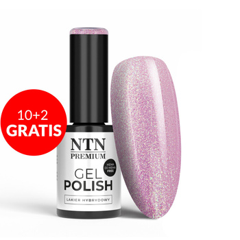 10 + 2 gratis: NTN Premium Delight Sorbet Collection HEMA/Di-HEMA-freier Hybridlack, 5 g, Nr. 149