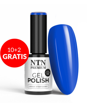 10 + 2 gratis NTN Premium Springtime Selfie HEMA/Di-HEMA-freier Hybridlack 5 g Nr. 287