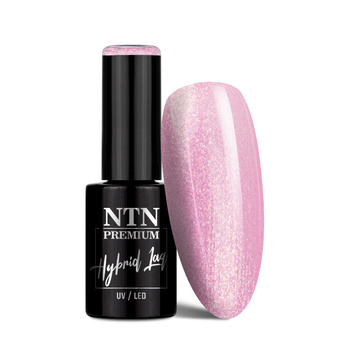 NTN Premium Birthday Party Collection Hybridlack 5 g Nr. 48