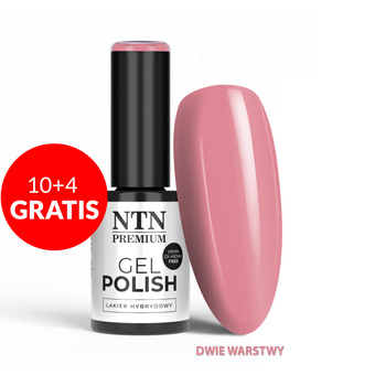 10+4 free LED/UV Gel Polish Nudes No. 538 Limited Edition NTN Premium HEMA/Di-HEMA Free 5g