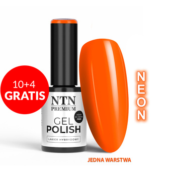 10+4 free LED/UV Gel Polish Oranges No. 534 Limited Edition NTN Premium HEMA/Di-HEMA Free 5g