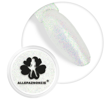 Frozen Dust nail powder Allepaznokcie jar 1g