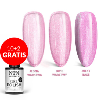10+2 free NTN Premium Impression LED/UV Gel Polish No. 254 (HEMA/Di-HEMA Free) 5 g