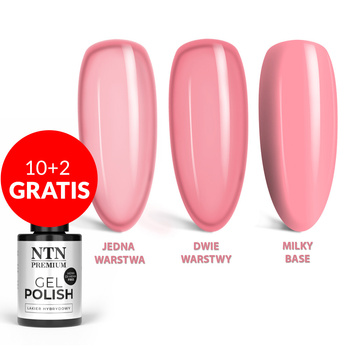 10+2 free LED/UV Gel Polish NTN Premium Romantica Collection No. 108 HEMA/Di-HEMA Free 5g