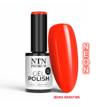 LED/UV Gel Polish Oranges No. 536 Limited Edition NTN Premium HEMA/Di-HEMA Free 5g