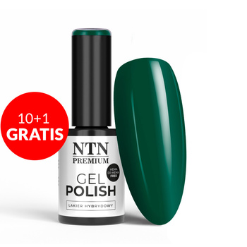 10+2 free LED/UV Gel Polish NTN Premium Limited Edition No. 372 HEMA/Di-HEMA Free 5g