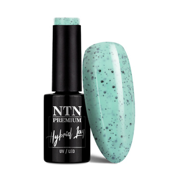 NTN Premium Sugar Puff Collection Hybrid Nail Polish 5g No. 183