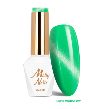 Cat Eye Pastel No. 271 Mint Molly Nails LED/UV Gel Polish – HEMA/Di-HEMA Free – 8g