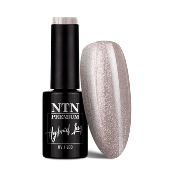 NTN Premium Passion for Love Collection Hybrid Nail Polish 5g No. 199