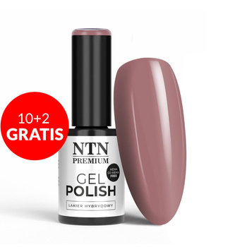 10+2 free LED/UV Gel Polish NTN Premium Drama Queen No. 210 HEMA/Di-HEMA Free 5g