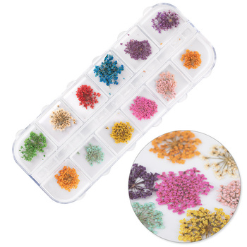 Dried flowers for nail art in a MollyNails case, type A, 24 pcs