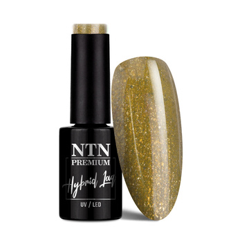 NTN Premium Celebration Collection Hybrid Nail Polish 5g No. 170