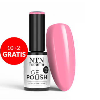 10+2 free LED/UV Gel Polish NTN Premium Limited Edition No. 33 HEMA/Di-HEMA Free 5g