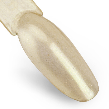 Chameleon Effect Nail Powder Allepaznokcie No. 10