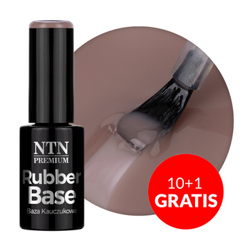 10+1 free Medium elastic rubber base Rubber Base Business Line NTN Premium 5g No. 6