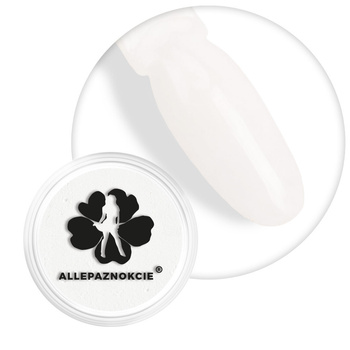 Smoke Nails nail powder, smoke effect, Allepaznokcie neon white No. 01
