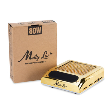 Filtro antipolvere a cassetta MollyLac da 80 W con 1 ventola, color oro, 858-8