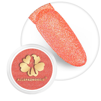 Brokat pour ongles en pot n° 113 2 g